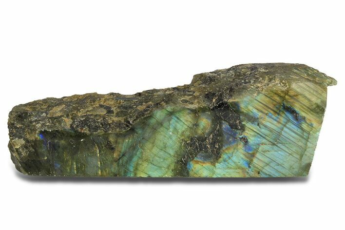 Single Side Polished Labradorite Section - Madagascar #295470